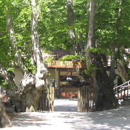 Albergo Ristorante Montecucco Da Tobia Sigillo Kültér fotó