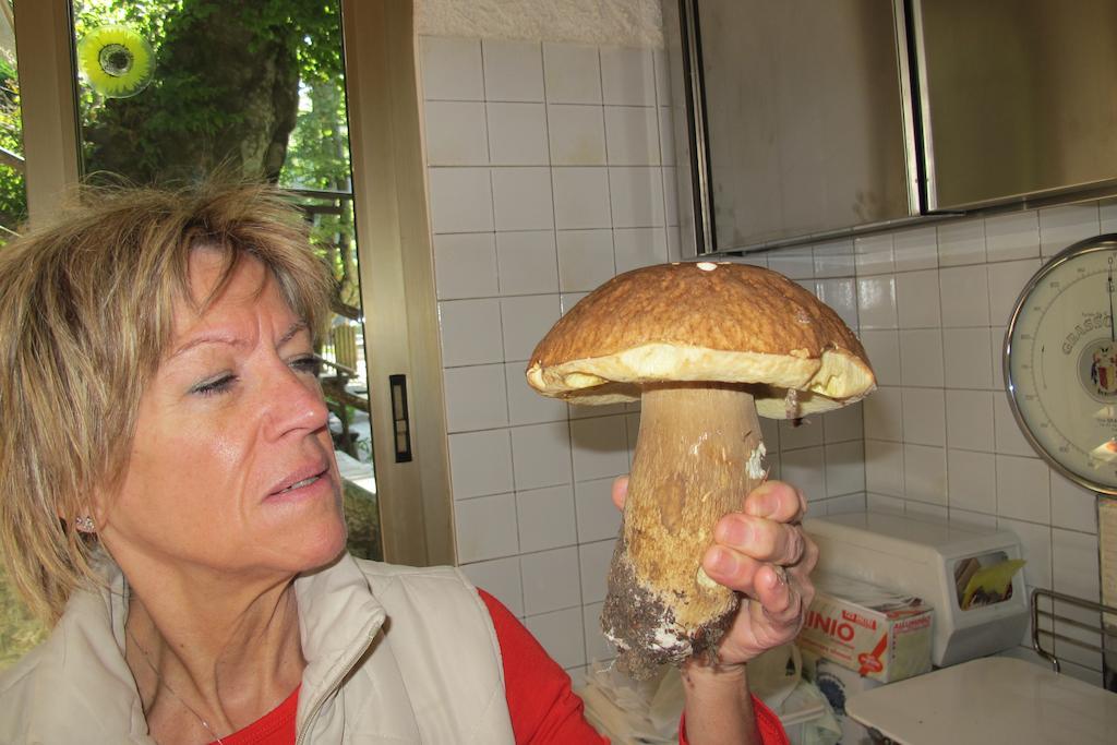 Albergo Ristorante Montecucco Da Tobia Sigillo Kültér fotó